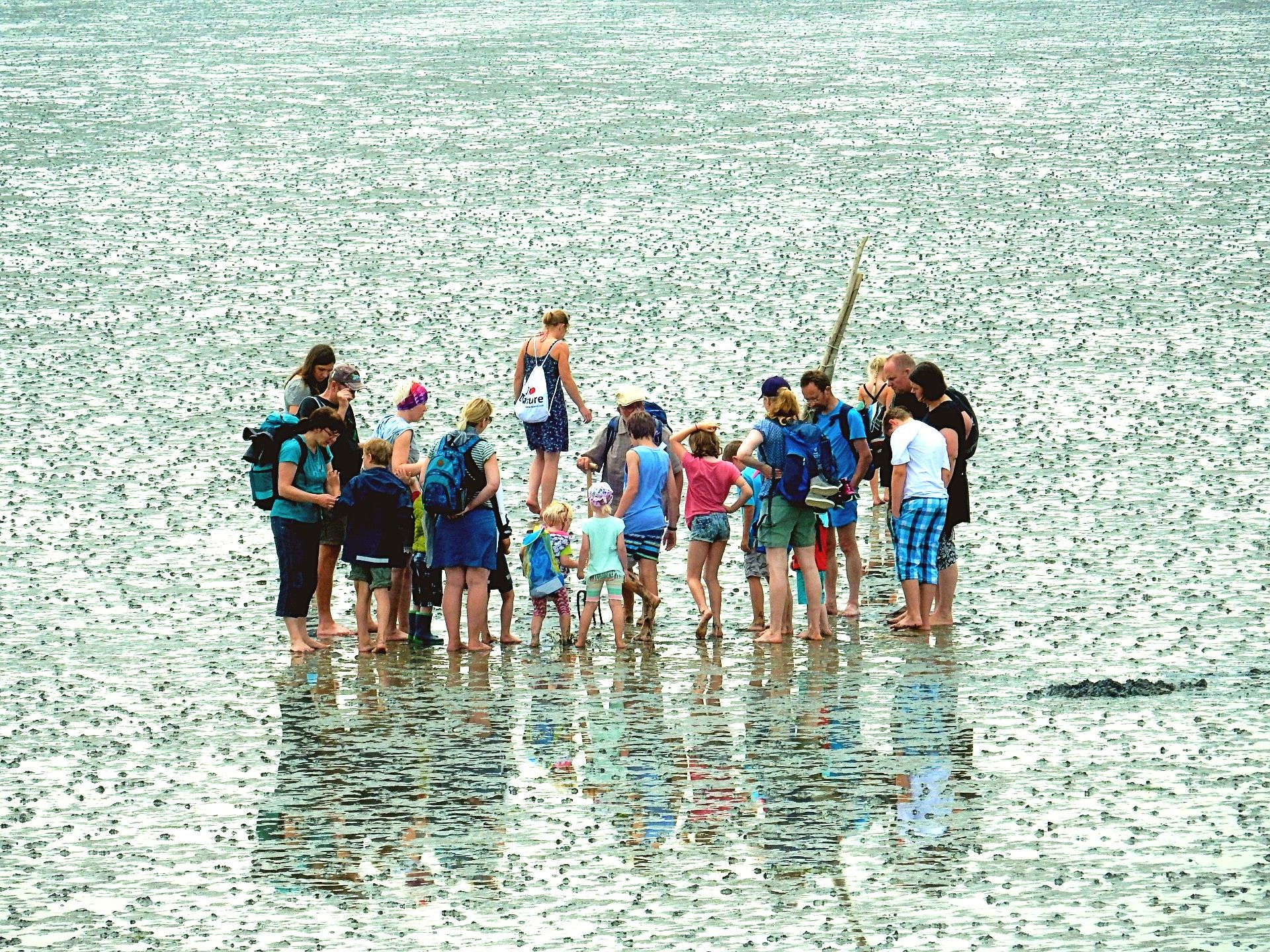 Strand & Mehr – Klassenfahrt mit Wattwanderung in der Nordsee