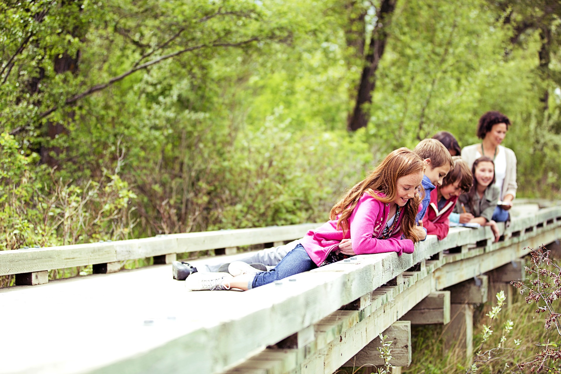Klassenfahrten Programme - Natur mit LogoTours